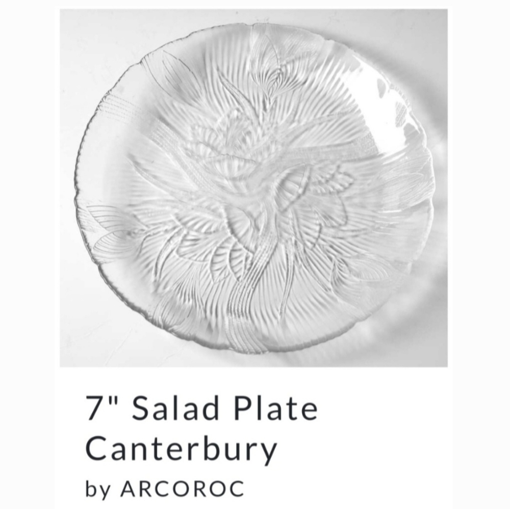 7"🍽"Canterbury"🍽 Snack Salad Dessert Plate by Arcoroc France 🇫🇷
